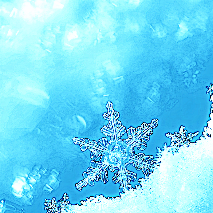 Snowflake Kisses a winter rhyme by Elizabeth Wrobel